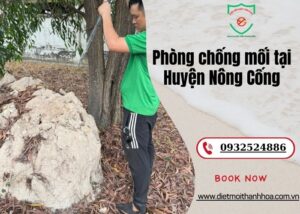 Phòng chống mối tại Huyện Nông Cống