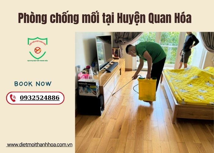 Phòng chống mối tại Huyện Quan Hóa