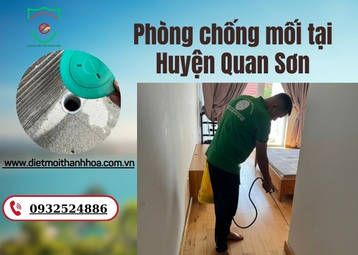 Phòng chống mối tại Huyện Quan Sơn