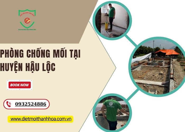 Phòng chống mối tại Huyện Hậu Lộc