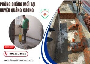 Phòng chống mối tại Huyện Quảng Xương