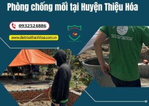 Phòng chống mối tại Huyện Thiệu Hóa