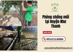 Phòng chống mối tại Huyện Thọ Xuân (1)