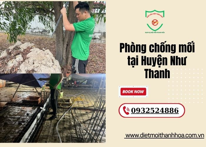 Phòng chống mối tại Huyện Thọ Xuân (1)