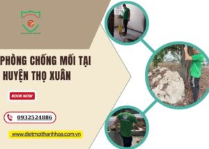 Phòng chống mối tại Huyện Thọ Xuân