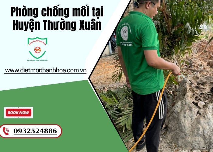 Phòng chống mối tại Huyện Thường Xuân