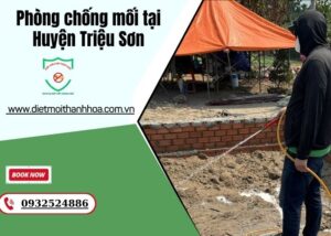 Phòng chống mối tại Huyện Triệu Sơn