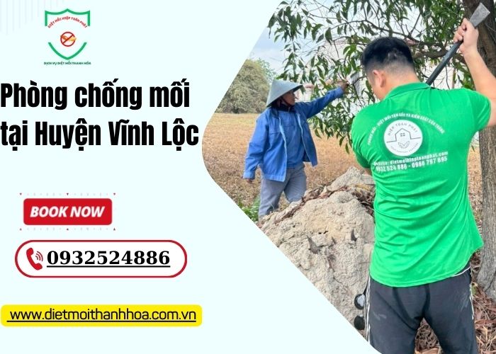 Phòng chống mối tại Huyện Vĩnh Lộc