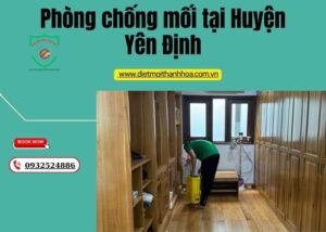 Phòng chống mối tại Huyện Yên Định