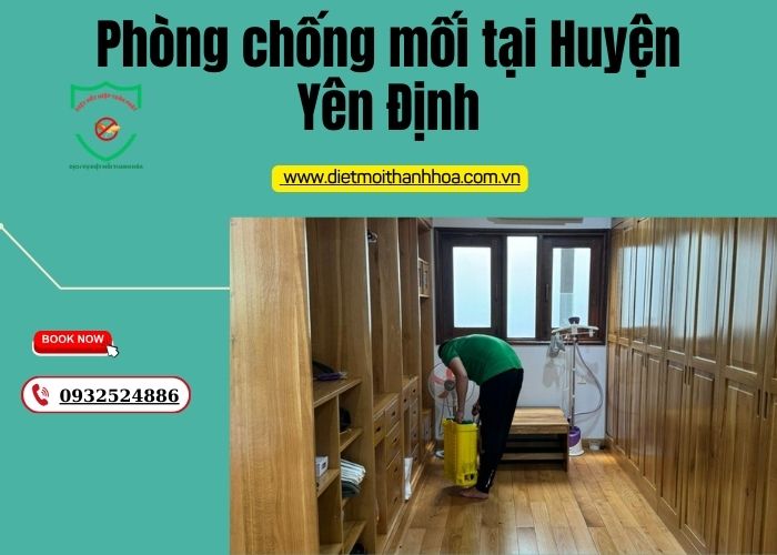 Phòng chống mối tại Huyện Yên Định