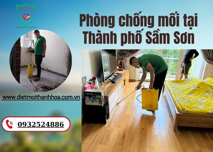 Phòng chống mối tại Thành phố Sầm Sơn