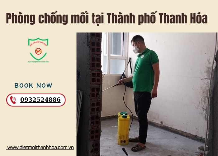 Phòng chống mối tại Thành phố Thanh Hóa