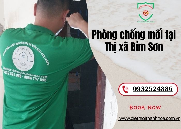 Phòng chống mối tại Thị xã Bỉm Sơn