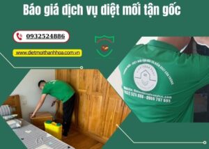 báo giá dịch vụ diệt mối tận gốc
