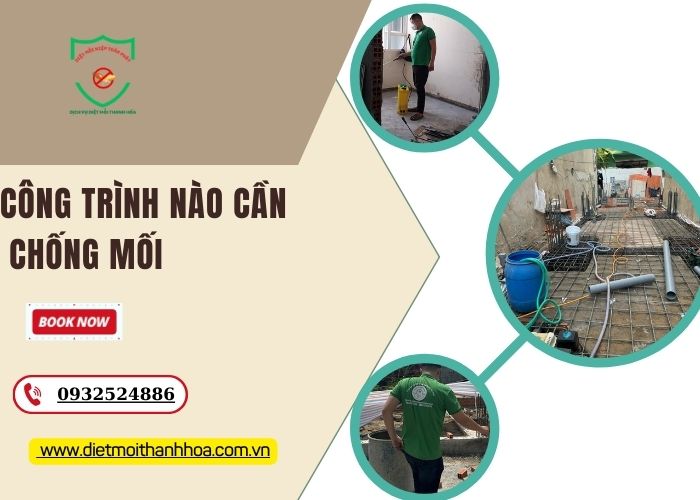 công trình nào cần chống mối