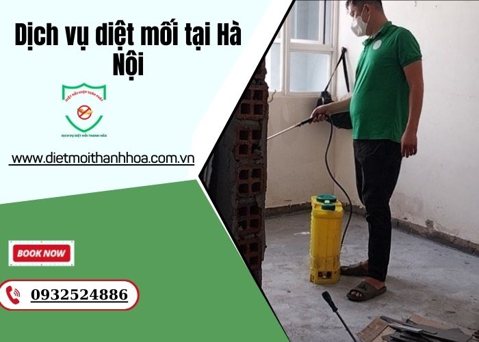 dịch vụ diệt mối tại hà nội