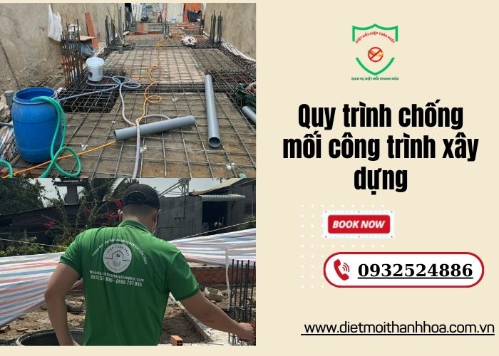 quy trình chống mối công trình xây dựng