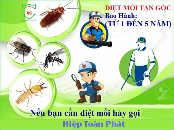 Bảo Hành diệt mối 