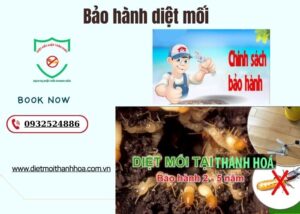 Bảo hành diệt mối