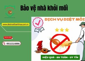 Bảo vệ nhà khỏi mối