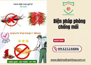 Biện pháp phòng chống mối