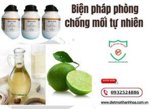 Biện pháp phòng chống mối tự nhiên