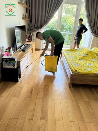 Cách nhận biết mối đất và mối gỗ