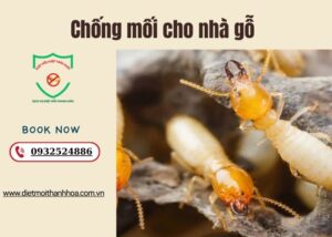 Chống mối cho nhà gỗ