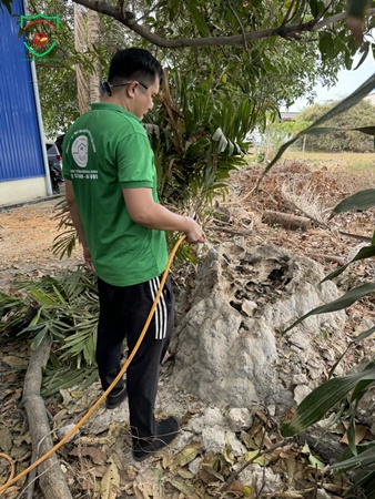 Công ty diệt mối