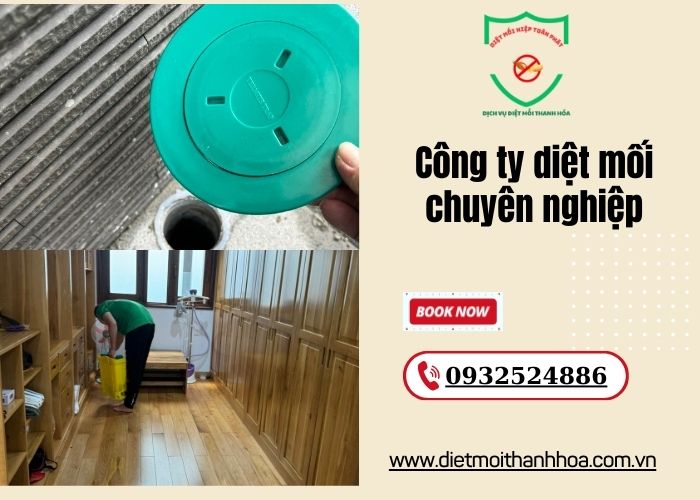 Công ty diệt mối chuyên nghiệp