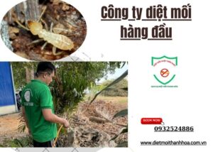 Công ty diệt mối hàng đầu