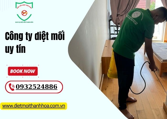 Công ty diệt mối uy tín