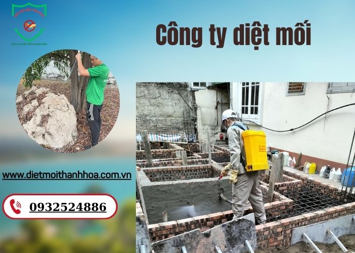 Công ty diệt mối