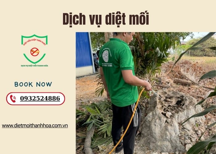 Dịch vụ diệt mối