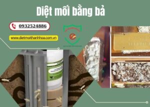 Diệt mối bằng bả