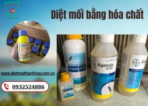 Diệt mối bằng hóa chất