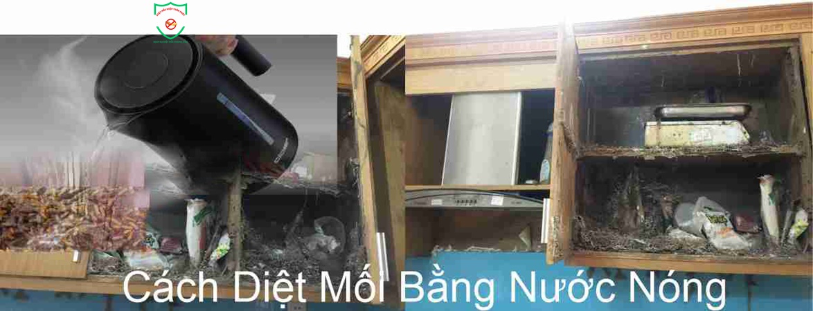 Diệt mối bằng nhiệt 