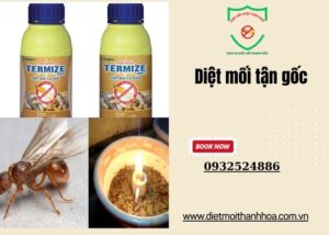 Diệt mối tận gốc