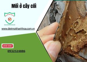 Mối ở cây cối