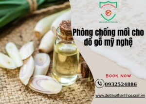 Phòng chống mối cho đồ gỗ mỹ nghệ