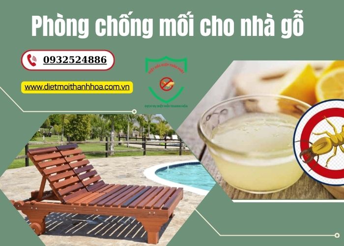 Phòng chống mối cho nhà gỗ