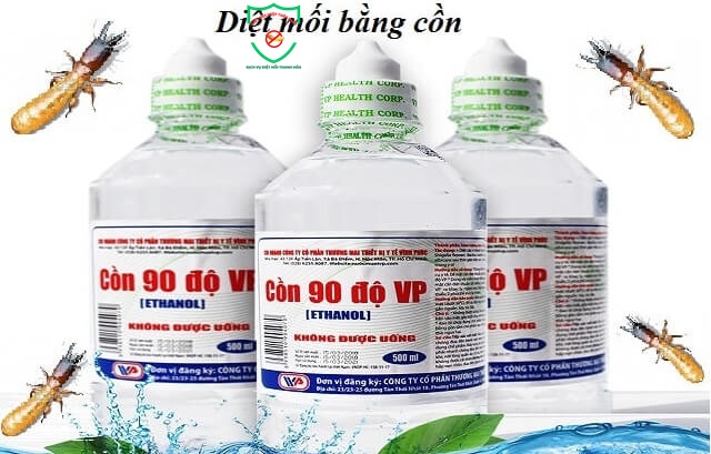 Phòng chống mối cho nhà gỗ 