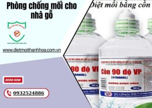 Phòng chống mối cho nhà gỗ
