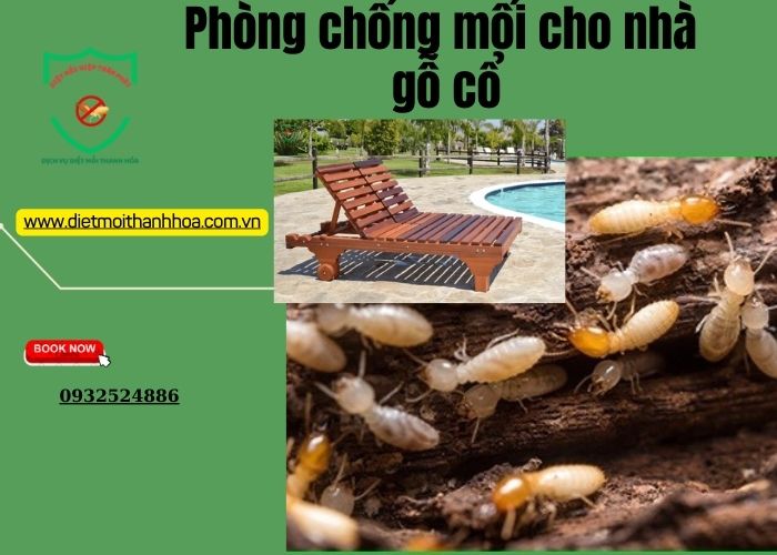 Phòng chống mối cho nhà gỗ cổ