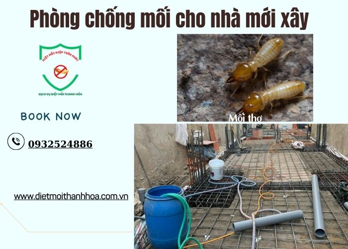 Phòng chống mối cho nhà mới xây