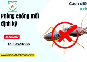 Phòng chống mối định kỳ