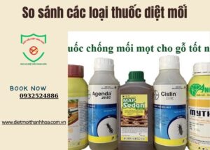 So sánh các loại thuốc diệt mối