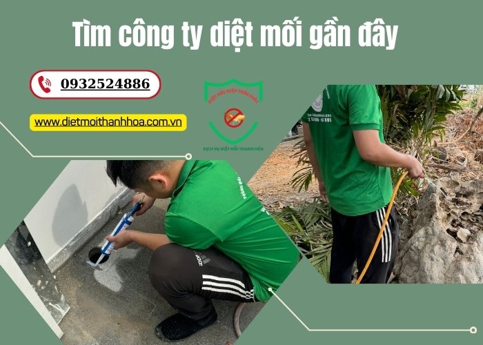 Tìm công ty diệt mối gần đây