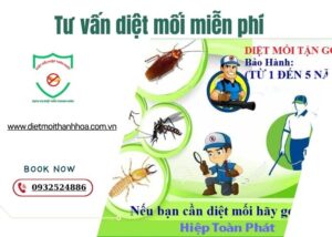 Tư vấn diệt mối miễn phí