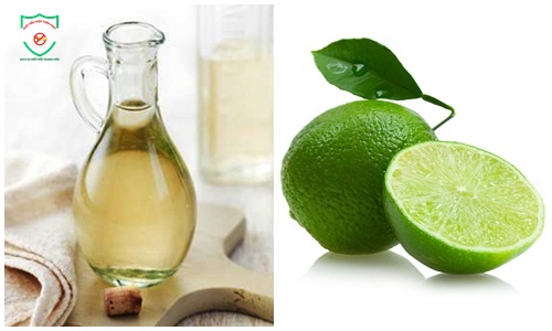 bảo vệ nhà khỏi mối
